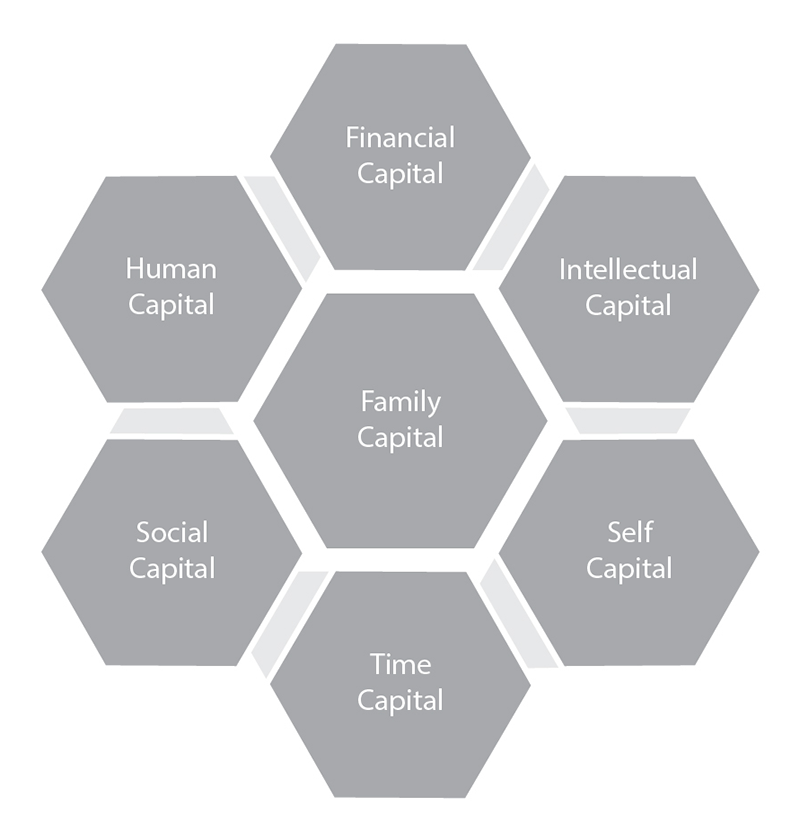 Image showing the aspects of family capital - financial, intellectual, self, time, social and human