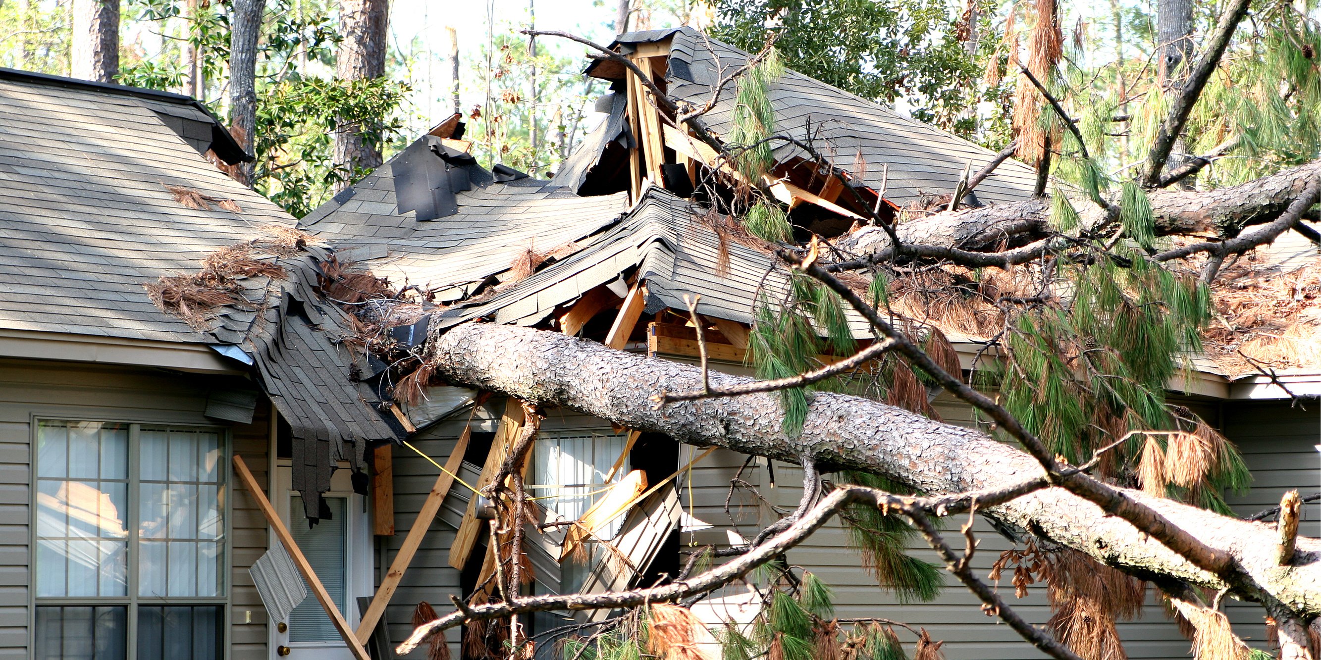 Tree fallen onto house damaging roof.