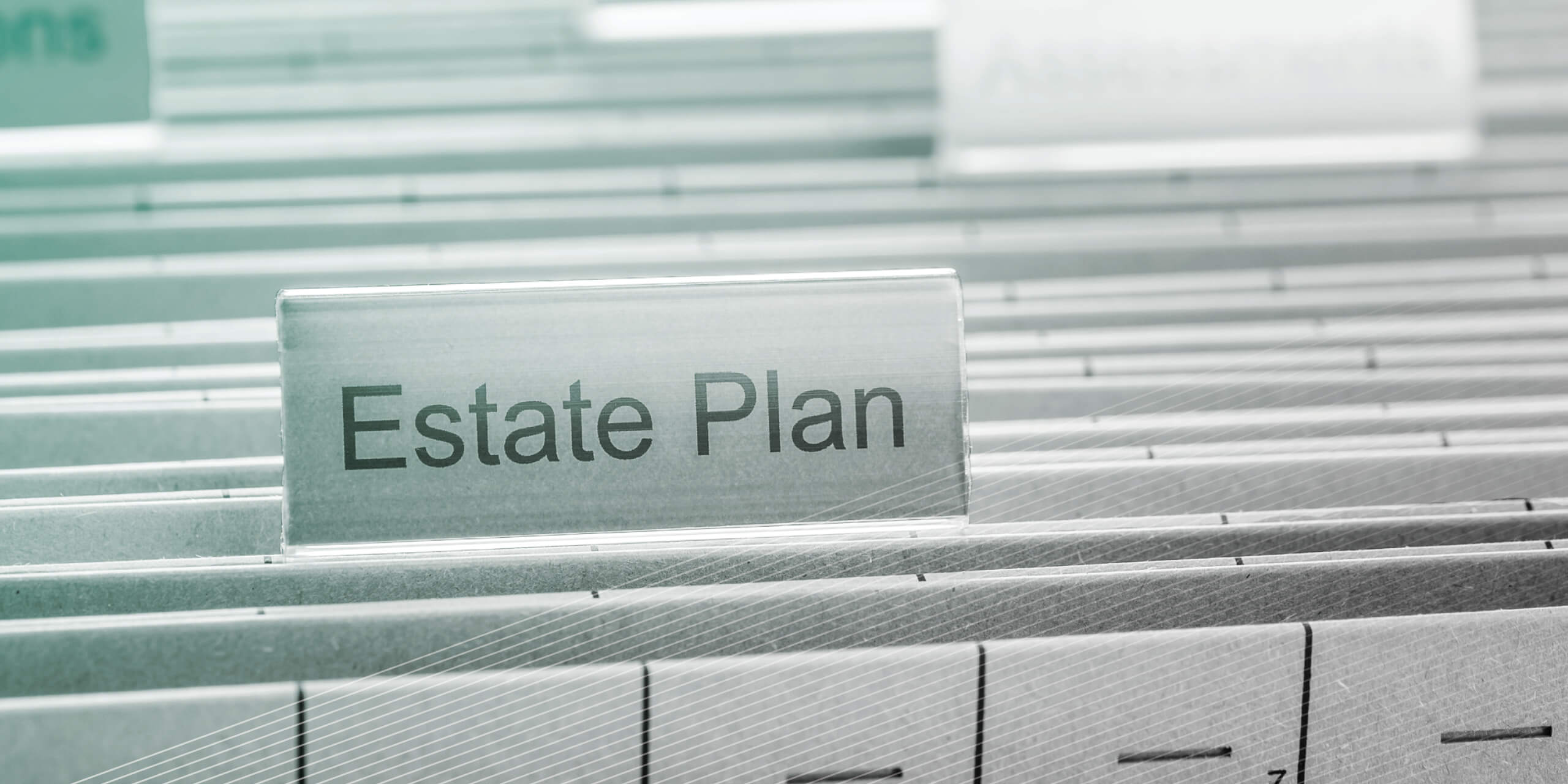 Estate Plan file folder